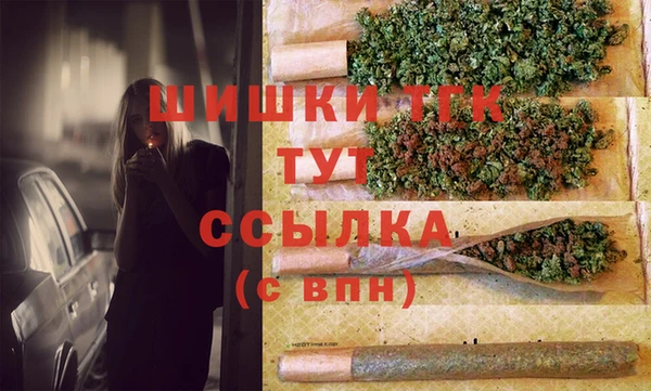 тгк Абдулино