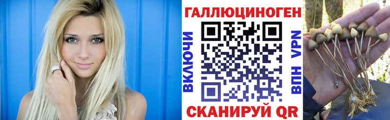 Галлюциногенные грибы Magic Shrooms  Никольское 